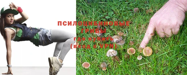 каннабис Абаза