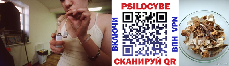 купить наркотик Фокино Псилоцибиновые грибы Magic Shrooms
